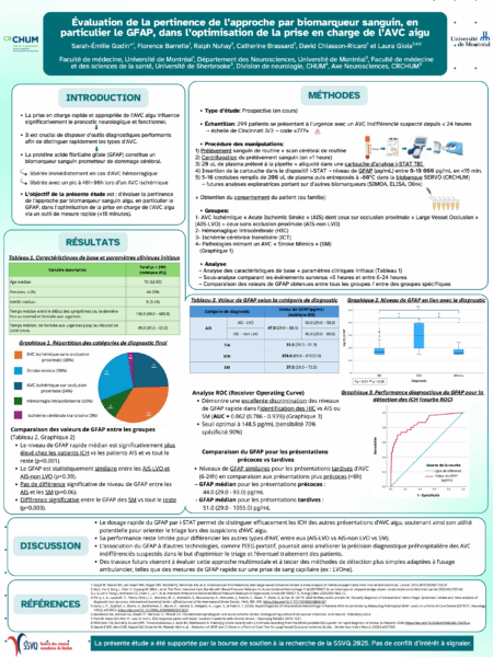 17. GODIN, Sarah Émilie Affiche concours SSVQ